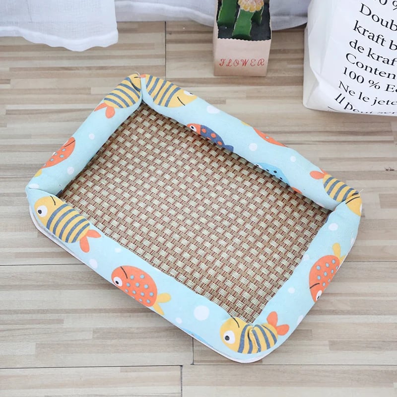 The Coolest and MOST Comfortable Cat Bed in Summer